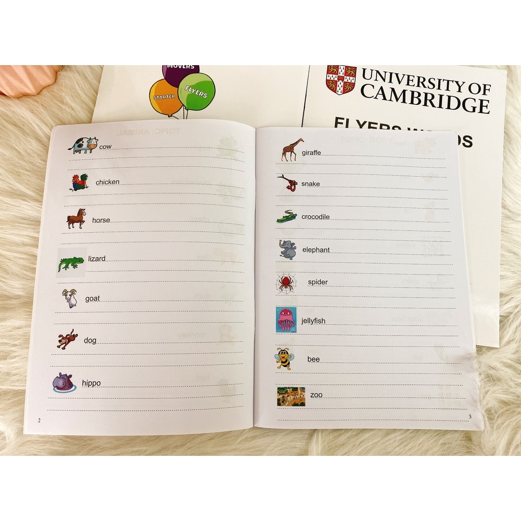 Ảnh Vở luyện viết Cambridge Starter words review 2