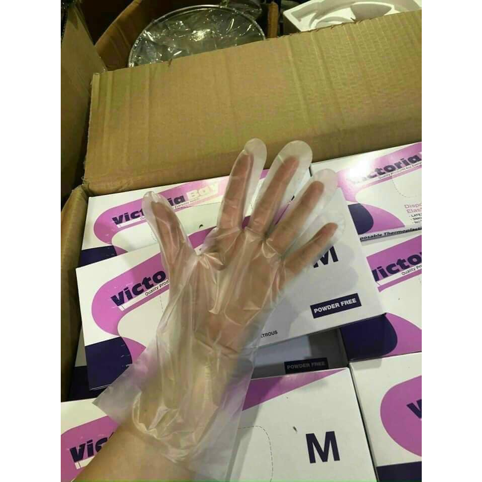 Hộp 100 găng tay nấu ăn siêu dai Victoria Bay siêu dai