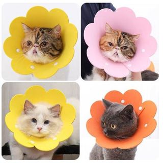 Loa Đeo Cổ Hình Bông Hoa cho mèo