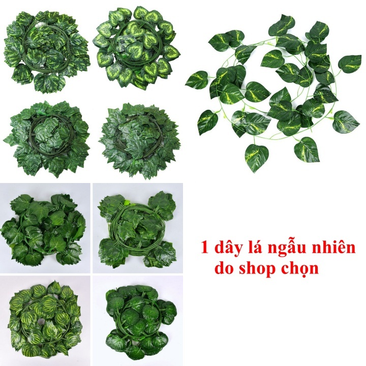 Dây leo giả trang trí, bao gồm lá nho, lá phong, lá trầu bà, vạn niên thanh, lá rau má cho nhà cửa và quán cà phê. | BigBuy360 - bigbuy360.vn