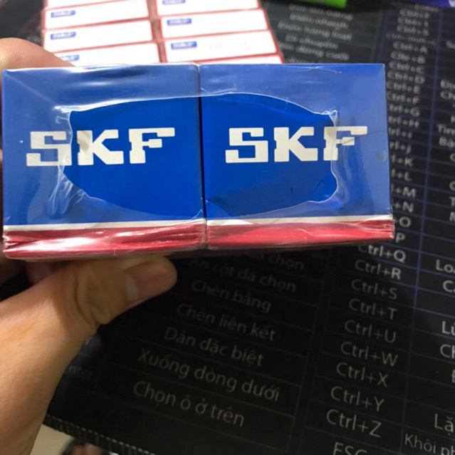 Vòng Bi 6003 SKF 2z/c3