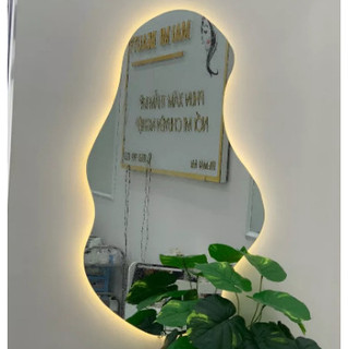 Gương toàn thân hình hạt đậu decor treo tường DIAMOND MIRROR gương LED cảm ứng cao cấp
