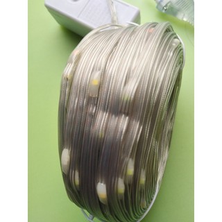 Dây Led chống nước dài 40m có 250led dùng trang tri sân vườn, băng công nhà hàng khách sạn Không thấm nước.