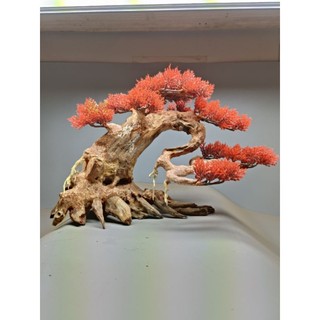 Cây Gỗ Lũa Bonsai dành cho bể cá cảnh, bể thủy sinh dành cho bể 60 cm trở lên. Mẫu dáng Huyền