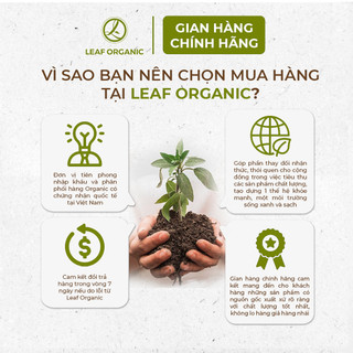 Đậu xanh hữu cơ C'LaVie 200g làm sữa hạt, nấu cháo, chè, súp