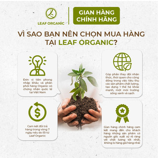 Hạt bí hữu cơ đã tách vỏ C'LaVie 200g