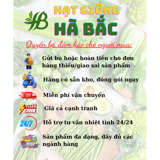 Hạt Giống Các Loại Họ Đậu RADO Sinh Trưởng Mạnh, Trồng Quanh Năm, Hạt Giống Trồng Chậu - Hạt Giống Rau Củ Quả Rạng Đông