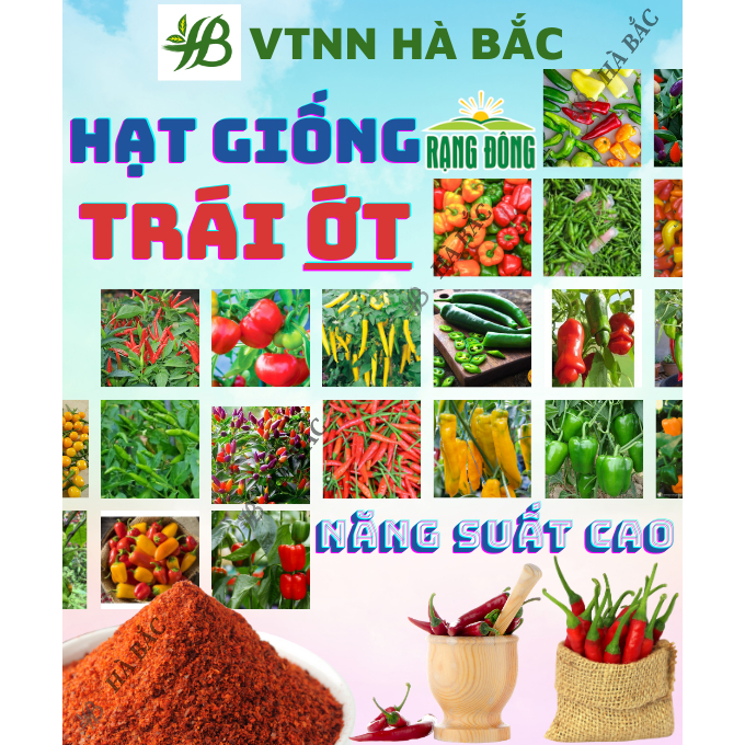 Hạt Giống Ớt RADO Trồng Quanh Năm, Dễ Chăm Sóc, Sinh Trưởng Tốt, Năng Suất Cao - Hạt Giống Rau Củ Quả Rạng Đông