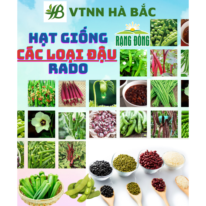 Hạt Giống Các Loại Họ Đậu RADO Sinh Trưởng Mạnh, Trồng Quanh Năm, Hạt Giống Trồng Chậu - Hạt Giống Rau Củ Quả Rạng Đông