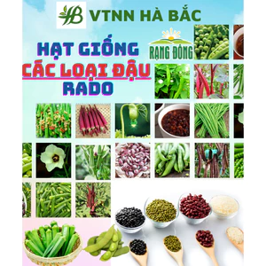Hạt Giống Các Loại Họ Đậu RADO Sinh Trưởng Mạnh, Trồng Quanh Năm, Hạt Giống Trồng Chậu - Hạt Giống Rau Củ Quả Rạng Đông