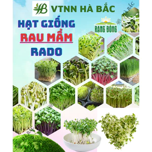 Hạt Giống Các Loại Rau Mầm Nảy Mầm Tốt, Dễ Chăm Sóc, Trồng Quanh Năm - Hạt Giống Rau Củ Quả Rạng Đông