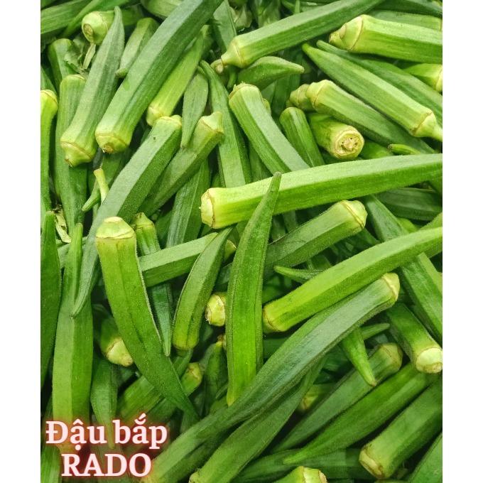Hạt Giống Các Loại Họ Đậu RADO Sinh Trưởng Mạnh, Trồng Quanh Năm, Hạt Giống Trồng Chậu - Hạt Giống Rau Củ Quả Rạng Đông
