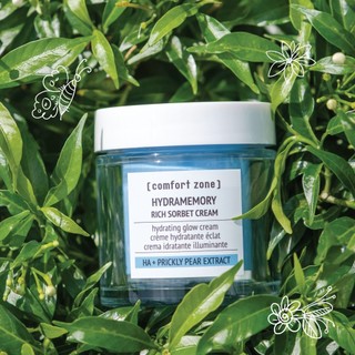 Kem Dưỡng Comfort Zone Giúp Cấp Ẩm Sâu, Sáng Da Hydramemory Rich Sorbet Cream 50ml / Light Sorbet Cream 60ml