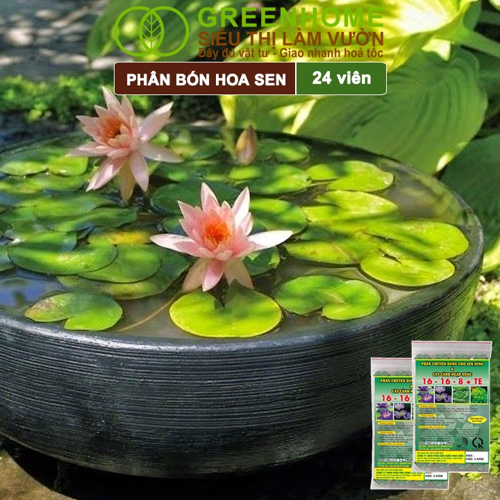 Ảnh Phân Bón Hoa Sen Greenhome, Vỉ 24 Viên, Cây Thuỷ Sinh, Ngập Nước, Cho Hoa To, Hoa Đậm Màu, Lâu Tàn 2