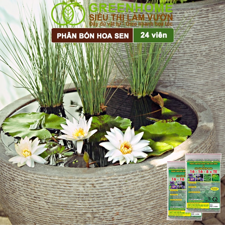 Ảnh Phân Bón Hoa Sen Greenhome, Vỉ 24 Viên, Cây Thuỷ Sinh, Ngập Nước, Cho Hoa To, Hoa Đậm Màu, Lâu Tàn 3