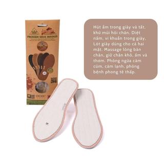 Lót Giầy Khử Mùi Hương Quế CI-09 Chất liệu Sơ Dừa, Sợi Bông Tự Nhiên