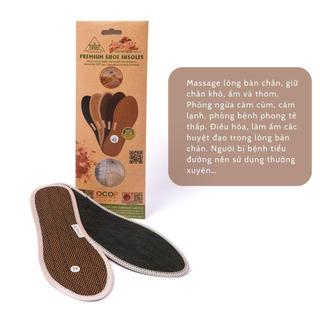Lót Giầy Vải Lưới Một Lớp Hương Quế CI-05