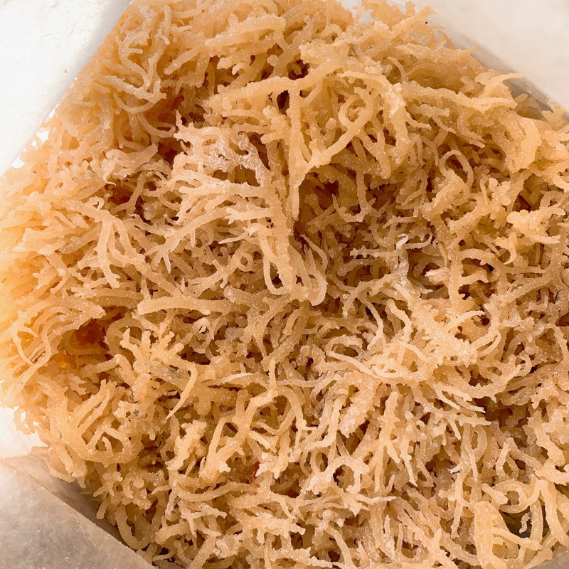 RONG SỤN TRẮNG  NHA TRANG - Loại 500g 1kg