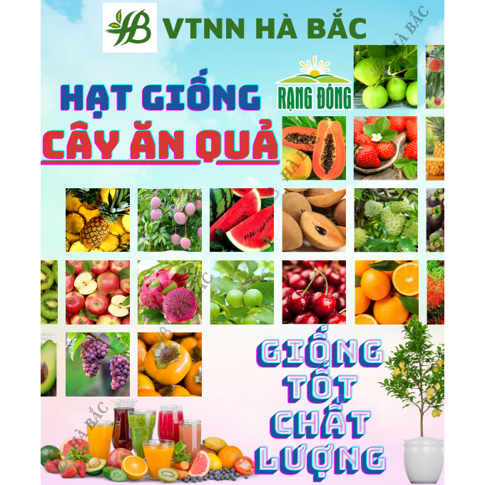 Hạt Giống Các Loại Cây Ăn Quả RADO Sinh Trưởng Mạnh, Trồng Quanh Năm - Hạt Giống Rau Củ Quả Rạng Đông