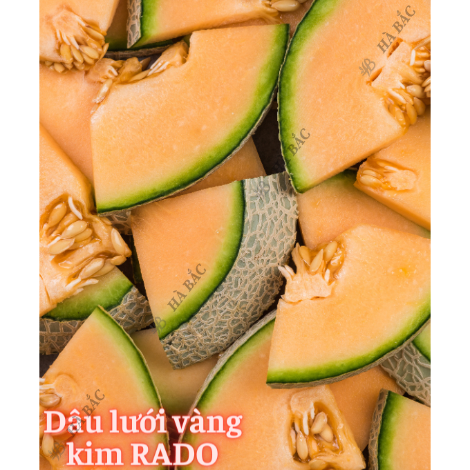 Hạt Giống Các Loại Cây Ăn Quả RADO Sinh Trưởng Mạnh, Trồng Quanh Năm - Hạt Giống Rau Củ Quả Rạng Đông