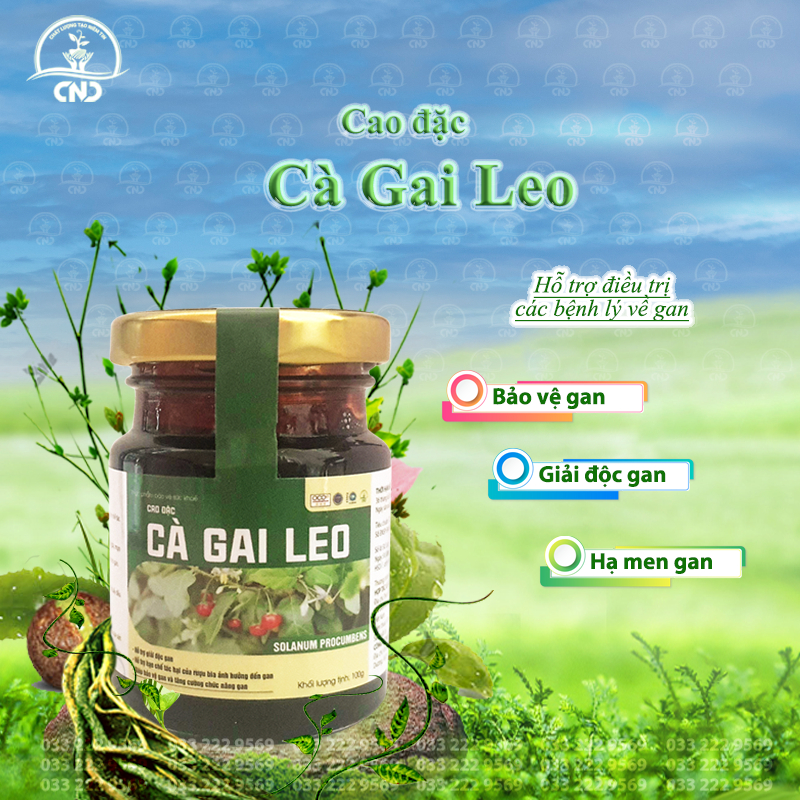 Product image Cao Cà Gai Leo CND - Hỗ Trợ Chức Năng Gan Giúp Thải Độc Tố Ra Ngoài Cơ Thể 2