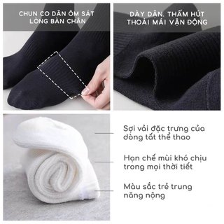 Set tất nam cổ cao, trung chất cotton vớ dài nữ trơn basic khử mùi thoáng khí phong cách đơn giản