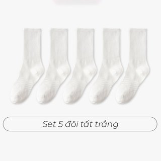 Set tất nam cổ cao, trung chất cotton vớ dài nữ trơn basic khử mùi thoáng khí phong cách đơn giản