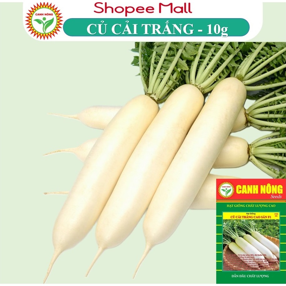 Hạt Giống Củ Cải Trắng, Dễ Trồng, Năng Suất Cao, Ngọt Đậm (Gói 5 gram) - Hạt Giống Canh Nông