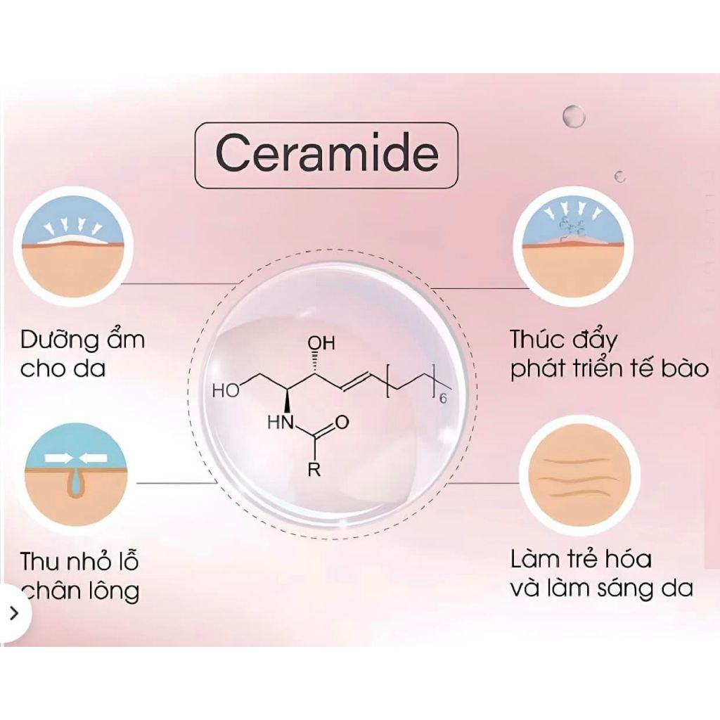 Sử dụng Serum Ceramide Phục Hồi Da Cao Cấp trong đời sống