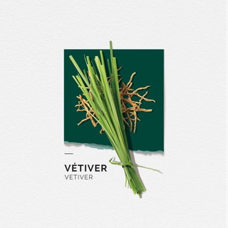 Nước hoa nam Solinotes Vetiver dầu thơm nam hương cỏ bài thơm lâu dạng xịt độ lưu hương 8h