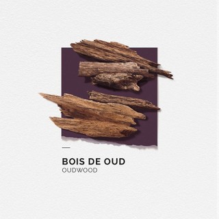 Nước hoa nam Solinotes Bois de Oud dầu thơm nam hương gỗ trầm thơm lâu dạng xịt độ lưu hương 8h