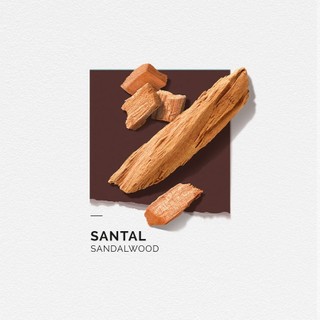Nước hoa nam Solinotes Santal dầu thơm nam hương gỗ đàn hương thơm lâu dạng xịt độ lưu hương 8h