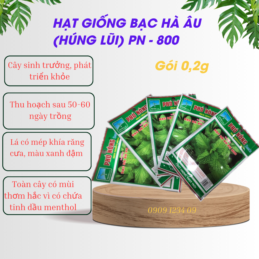 Hạt giống bạc hà âu (húng lũi) Phú Nông-800 mentha piperita 3