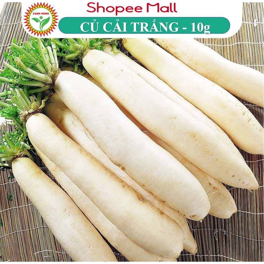 Hạt Giống Củ Cải Trắng, Dễ Trồng, Năng Suất Cao, Ngọt Đậm (Gói 5 gram) - Hạt Giống Canh Nông
