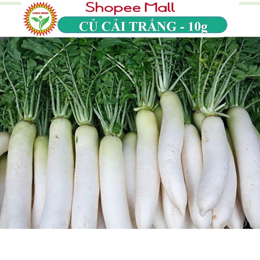 Hạt Giống Củ Cải Trắng, Dễ Trồng, Năng Suất Cao, Ngọt Đậm (Gói 5 gram) - Hạt Giống Canh Nông