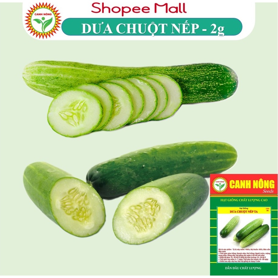Hạt giống Dưa Leo Dưa Chuột Nếp F1 trái dài, giòn ngọt, đậu quả sai (gói 2g~20 hạt) - Hạt giống CANH NÔNG