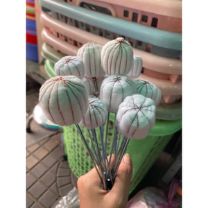 CÂY RỌI MỒI ỐNG GIÁC HƠI