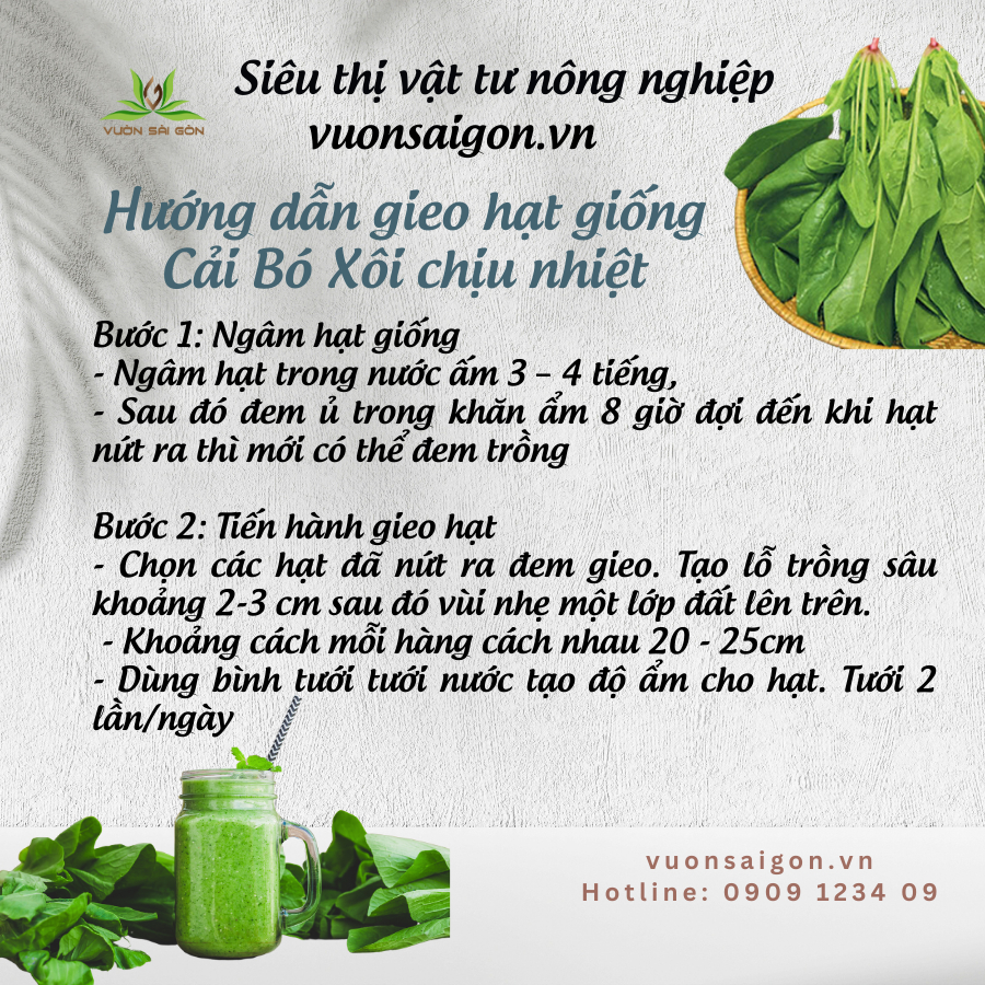 HẠT GIỐNG CẢI CHÂN VỊT (BÓ XÔI) - chịu nhiệt Phú Nông 4