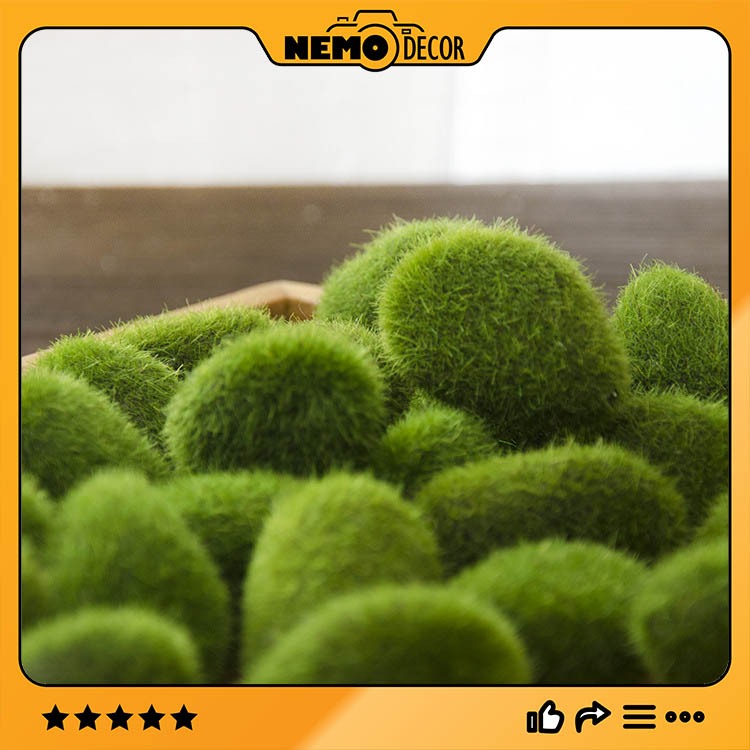 Đá Rêu, Đá Phủ Rêu Xanh Mô Phỏng (Nhiều size) Nemo Decor | Shopee Việt Nam