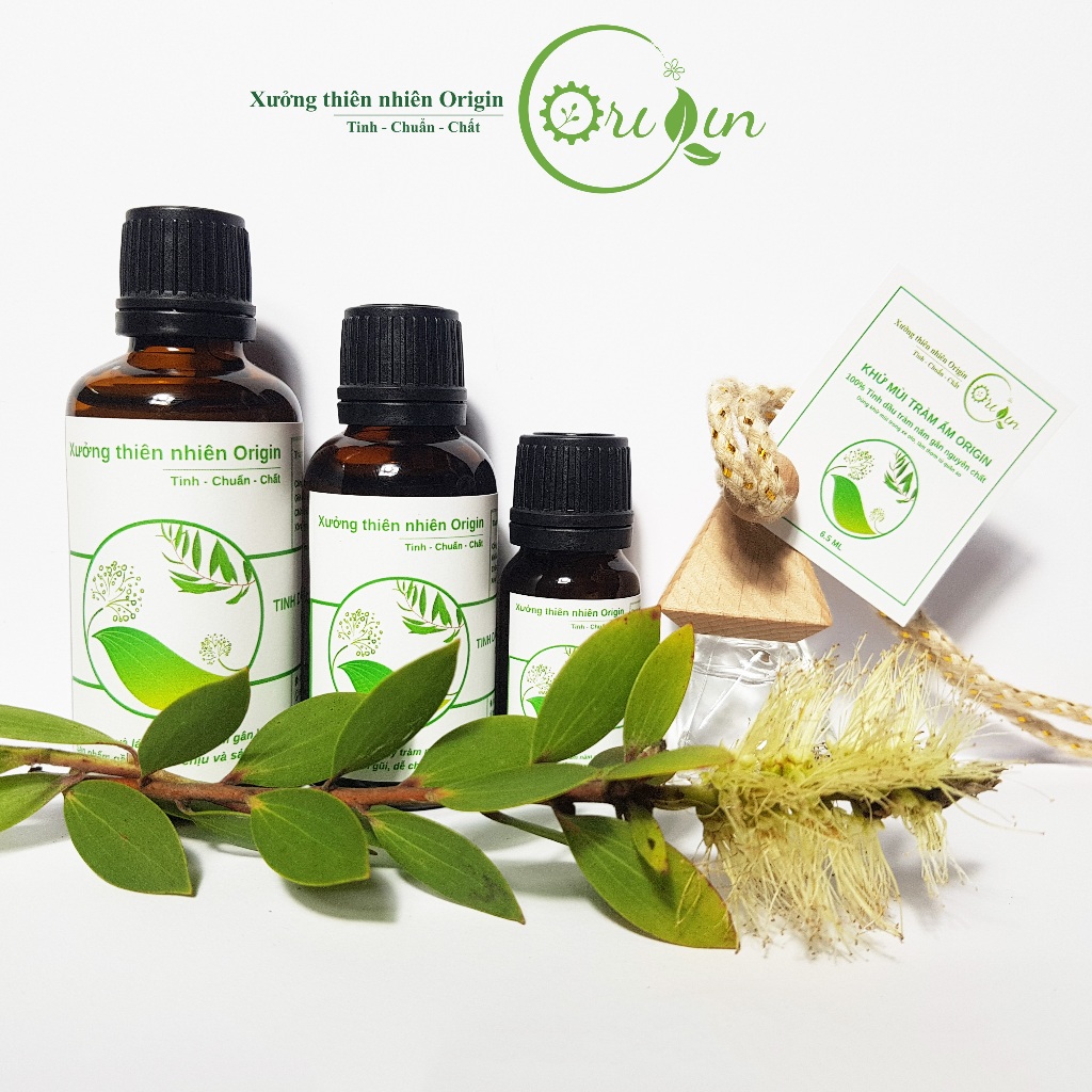 Tinh dầu tràm nguyên chất - Tinh dầu tràm ấm Origin