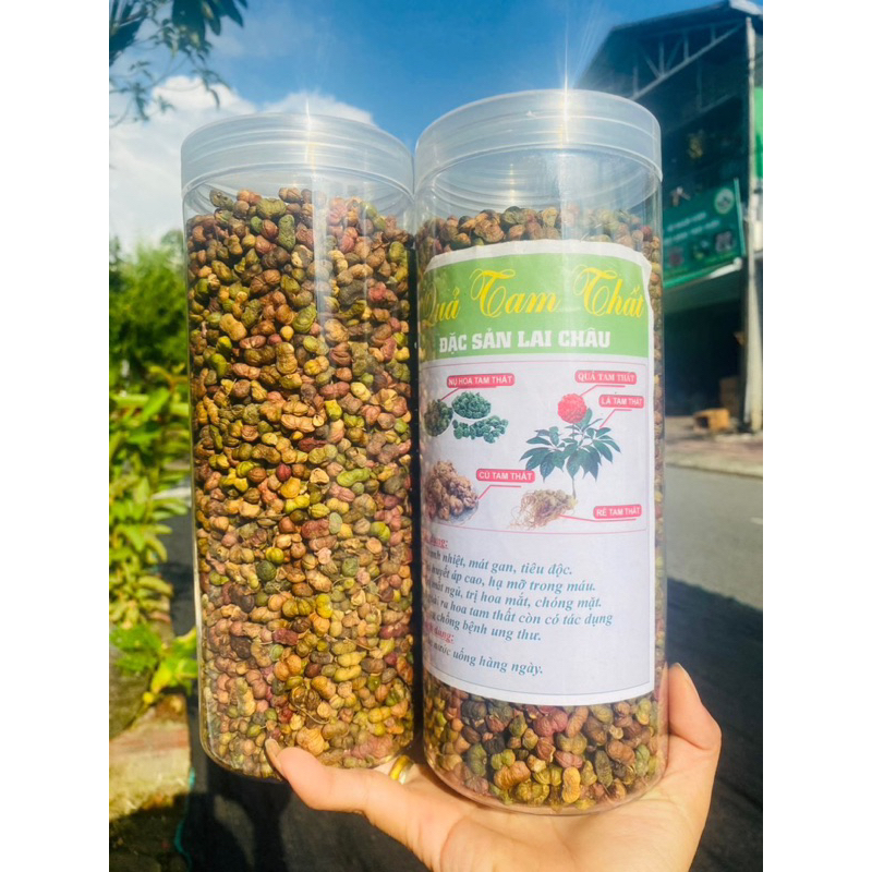 Quả tam thất Bắc 500g quả tam thất đều đẹp hàng chuẩn Tây Bắc