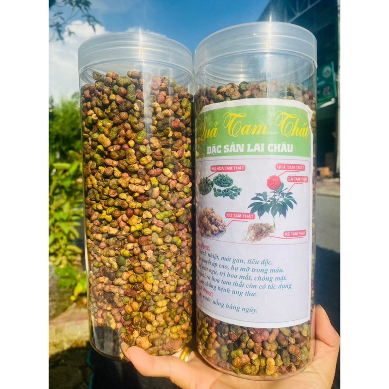 Quả tam thất Bắc 500g quả tam thất đều đẹp hàng chuẩn Tây Bắc