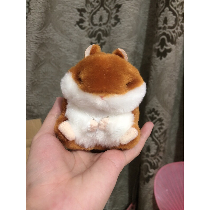 gấu bông chuột hamter | Shopee Việt Nam
