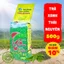Trà Xanh Tân Cương Thái Nguyên Thượng Hạng Chính Gốc (Loại 100g - 200g)