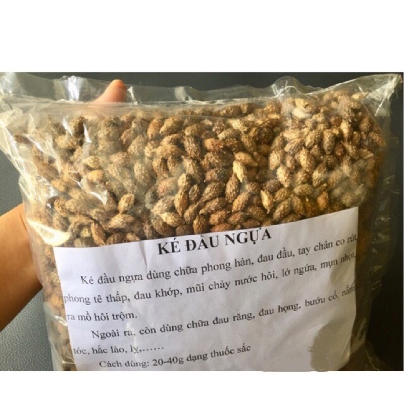 ké đầu ngựa 500g - 1kg | Shopee Việt Nam