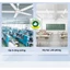 quạt trần 5 cánh MIDEA FC140-DD công suất lớn- rộng1.4m siêu bền gió mạnh-cao cấp-chính hãng