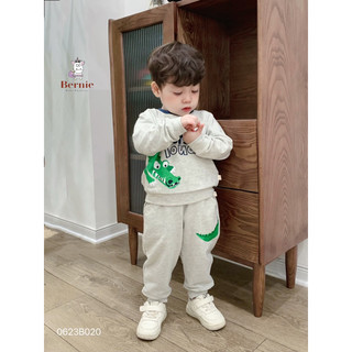 Bộ nỉ dài bé trai hình cá sấu 1-6 tuổi (9-24kg) N009