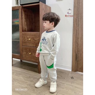 Bộ nỉ dài bé trai hình cá sấu 1-6 tuổi (9-24kg) N009