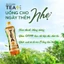 Thùng 24 Chai Trà Ô long Tea+ Không Đường (450ml/chai)