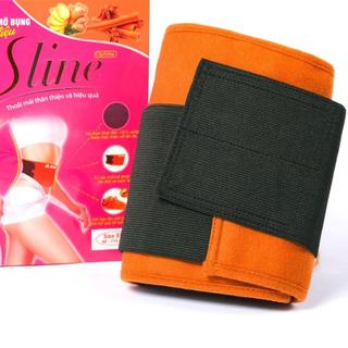 Gen Bụng Dược Liệu Hương Quế SLINE